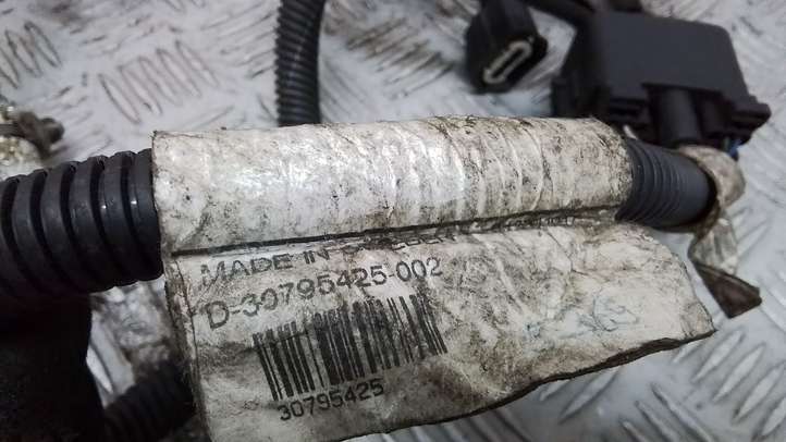 Volvo S80 (2009 - 2013)  30795425 Проводка двигателя