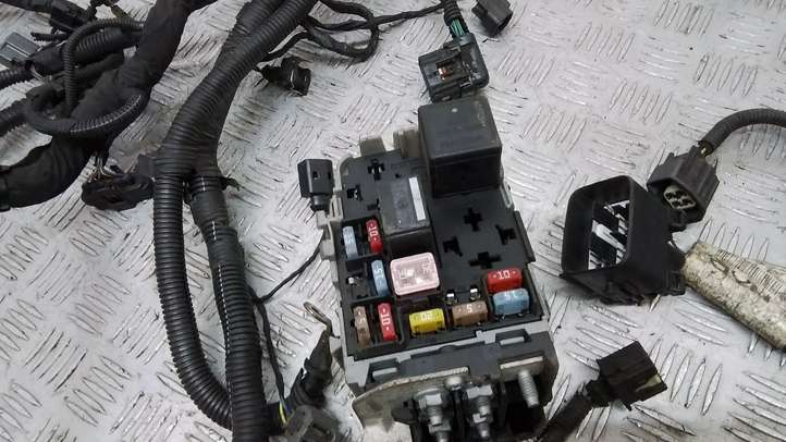 Volvo S80 (2009 - 2013)  30795425 Проводка двигателя