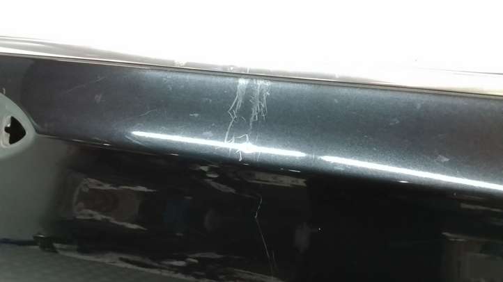 BMW 7 F01 F02 F03 F04 (2008 - 2016)   Дверь