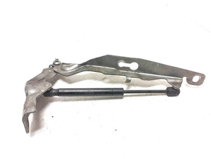 Volvo S80 (2006 - 2009)  30649514 Петля (петли) капота