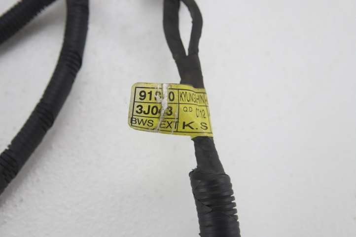 Hyundai ix 55 (2006 - 2012)  91810-3J043 Проводка датчиков парковки