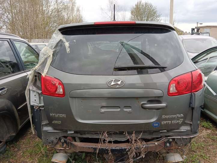 Hyundai Santa Fe Galinis dangtis (bagažinės)