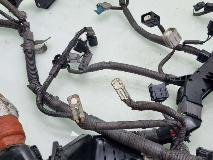 Toyota Land Cruiser (J150) (2009 - )  821216AK80B Проводка двигателя