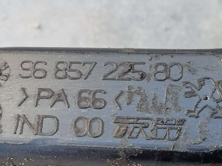 Toyota ProAce Verso (2013 - 2016)  9663824880 Проводка двигателя