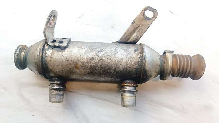 Lancia Phedra (2002 - 2010)  869964X Охладитель EGR