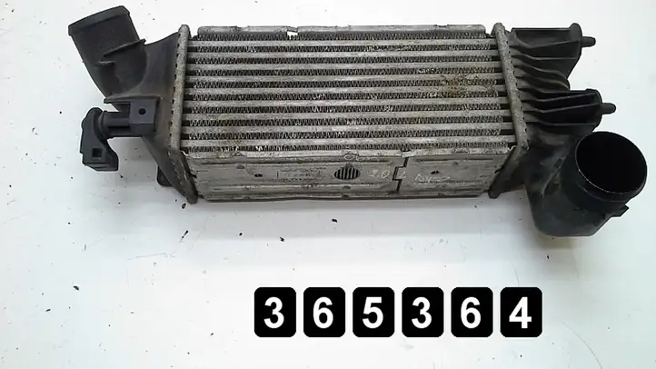 Peugeot 607 (2004 - 2010) 2000hdi 100kw.9658424580 Радиатор охлаждающей жидкости двигателя — фото 1