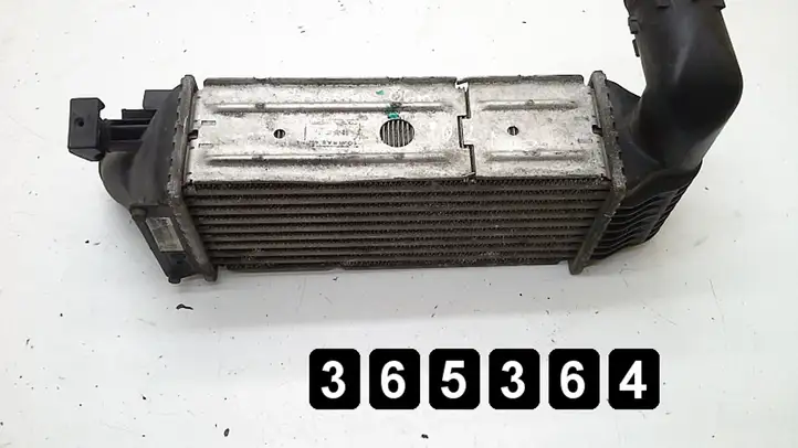 Peugeot 607 (2004 - 2010) 2000hdi 100kw.9658424580 Радиатор охлаждающей жидкости двигателя — фото 2