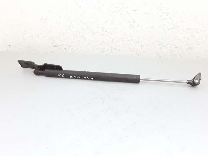 BMW 7 F01 F02 F03 F04 (2008 - 2016)  51217177615  Амортизатор капота