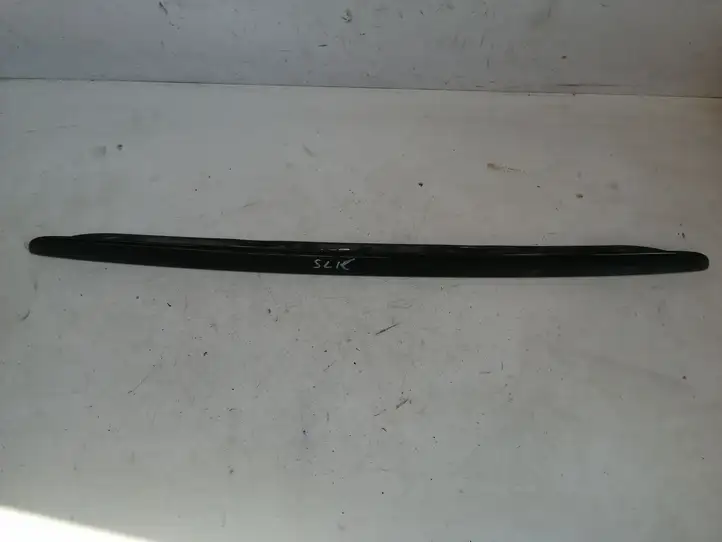 Mercedes-Benz SLK R170 (1996 - 2004) 1707580338 Подсветка номера — фото 1