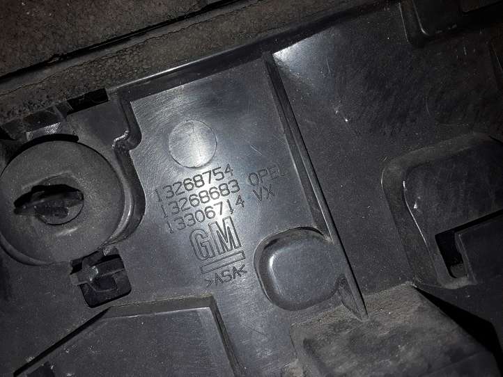 Opel Meriva (2010 - 2014)  13268754 Освещение номера