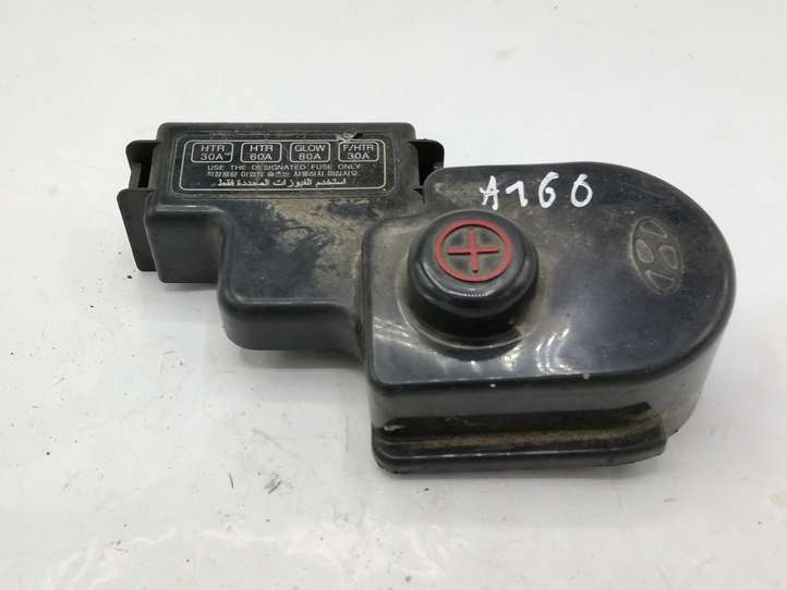 Hyundai Santa Fe (2000 - 2005)  9182126000 Крышка ящика предохранителей