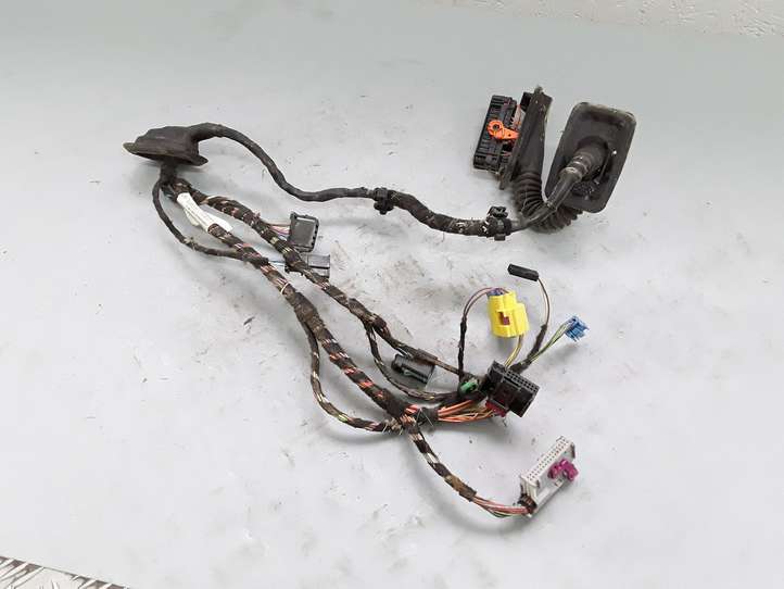 Volkswagen Tiguan (2007 - 2011)  5N0971120A Проводка передних дверей