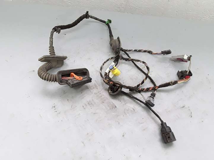 Volkswagen Tiguan (2007 - 2011)  5N1971121A Проводка передних дверей