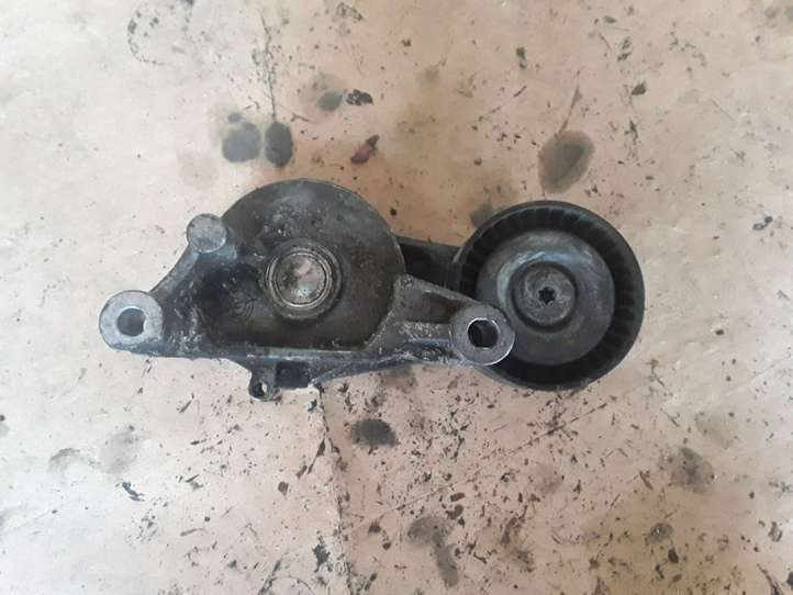 Audi A3/S3 8P (2004 - 2008)  03G903315 Натяжитель ремня генератора