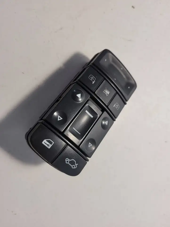 Opel Signum (2002 - 2008) 09185954 Блок кнопок стеклоподъемников — фото 1