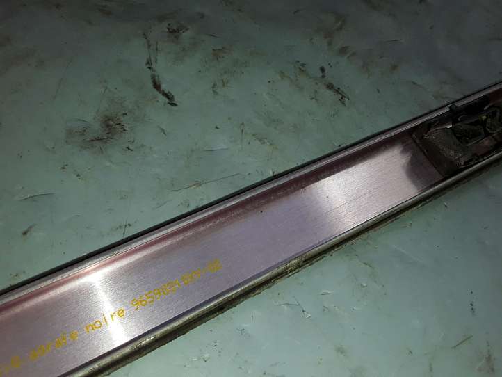 Citroen C4 Picasso (2006 - 2013)  96590310XY Звукоизоляция крыши