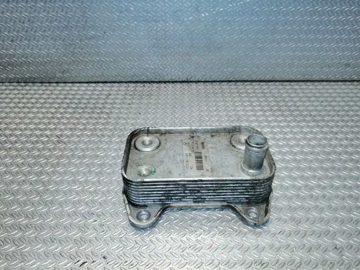 Mercedes-Benz Vito Viano W639 (2003 - 2010) A6111880301 Кронштейн масляного фильтра — фото 1