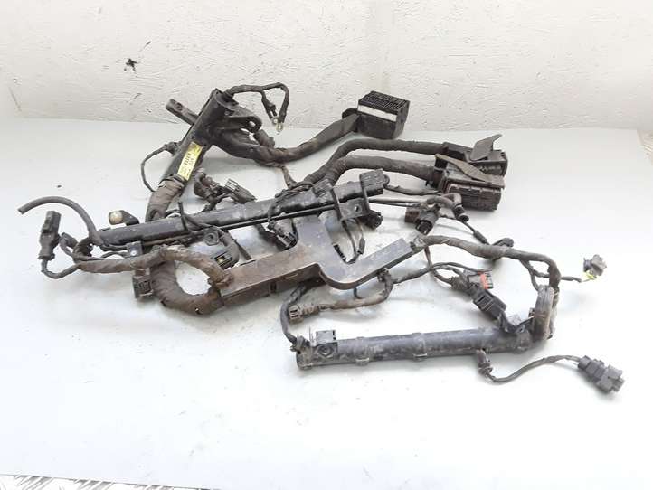 Kia Carens (2006 - 2012)  914201D090 Проводка двигателя