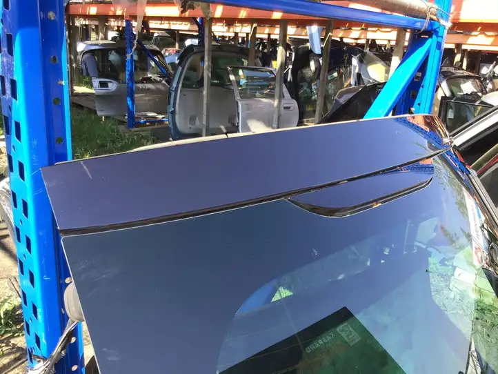 Opel Insignia B (2017 - ) OEM Крышка багажника — фото 1