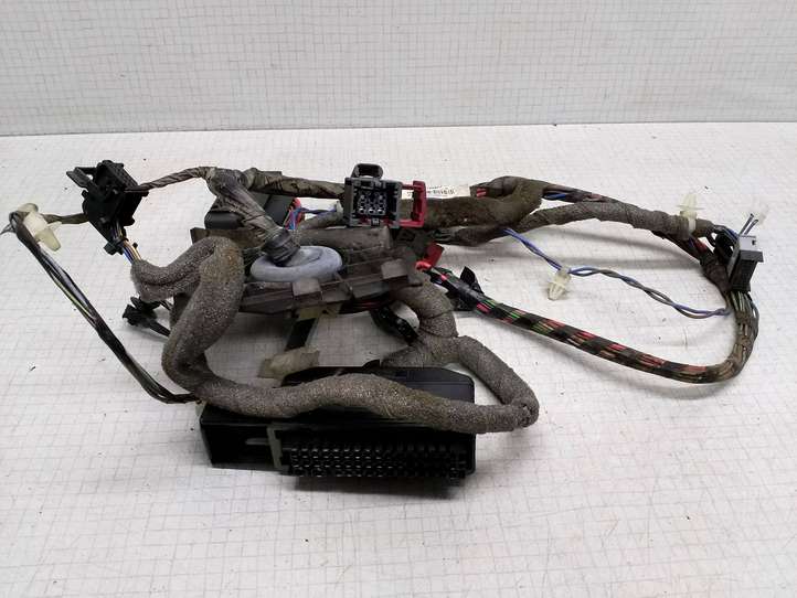 Opel Vectra (2005 - 2009)  20960224 Проводка передних дверей