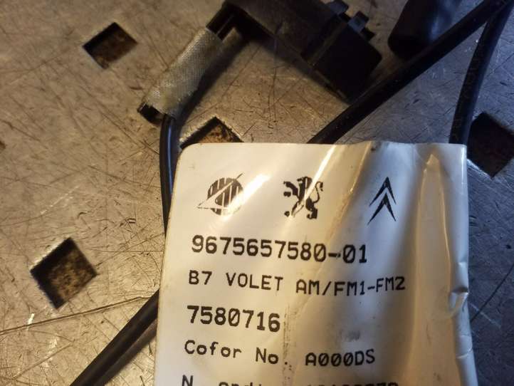 Citroen DS4 (2010 - 2016)  9675657580 Проводка задних дверей