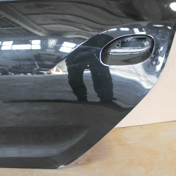 Dacia Sandero III (2016 - ) Задняя дверь — фото 4