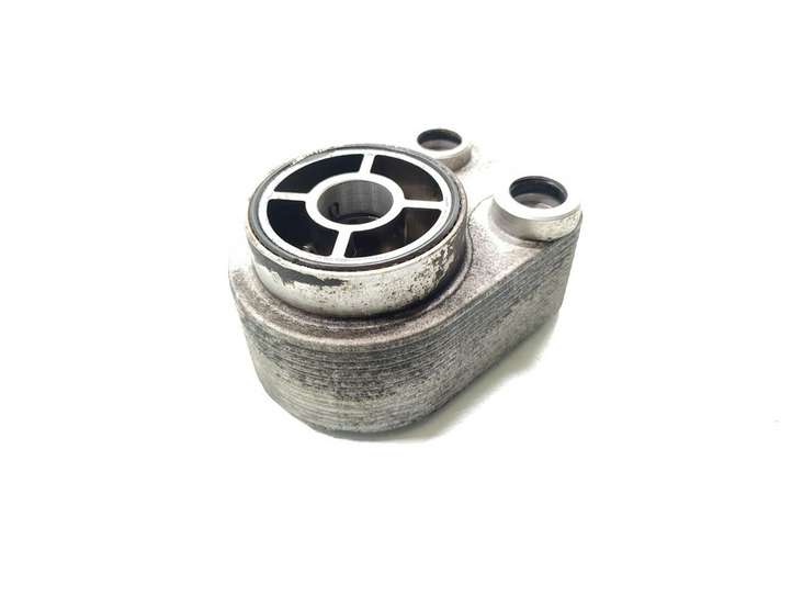 Nissan Qashqai (2006 - 2010)  779744-C Радиатор масла двигателя