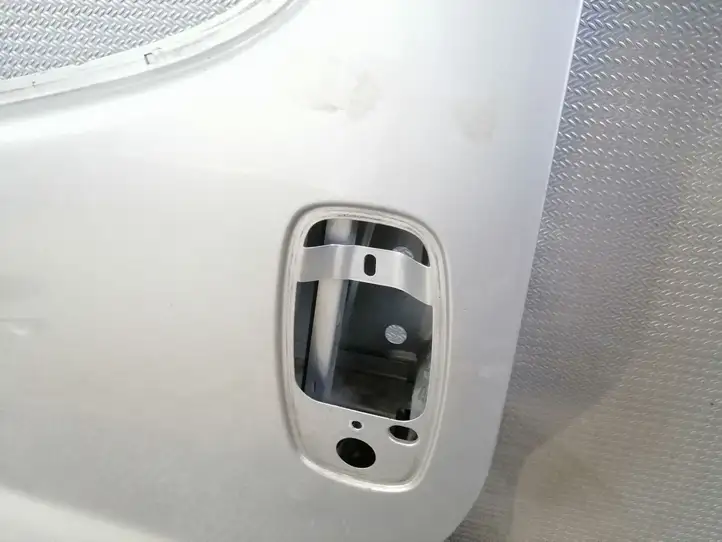 Renault Trafic II (X83) (2002 - 2014) Дверь — фото 3