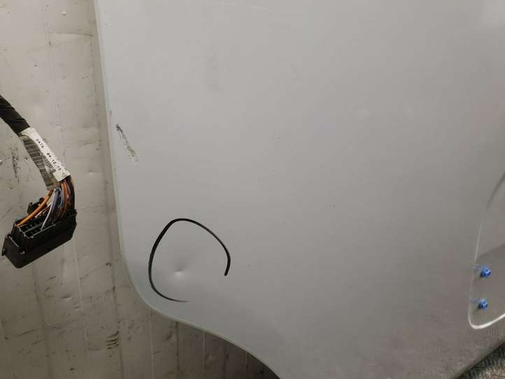 Opel Movano B (2010 - 2022)   Дверь