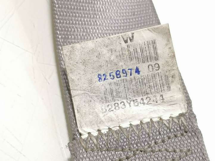 BMW X5 E53 (1999 - 2006)  8258974 Передний ремень безопасности