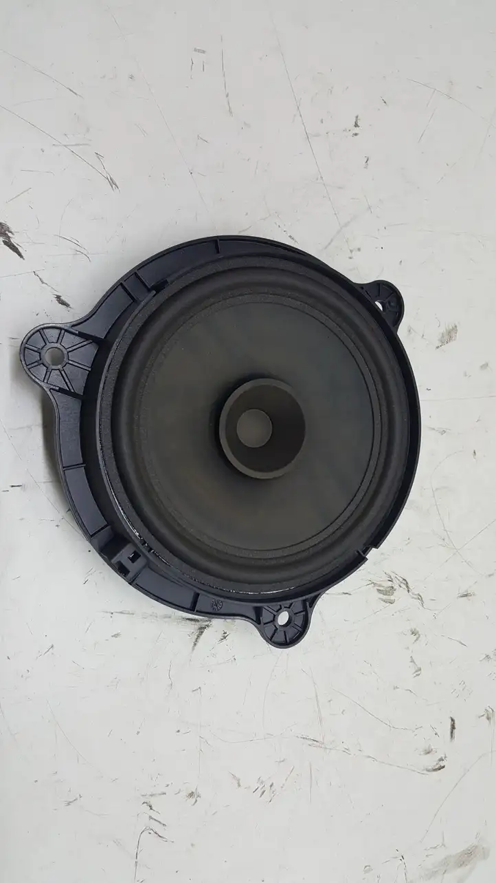 Nissan Qashqai (2006 - 2010) 7606500485 Динамики задних дверей — фото 1