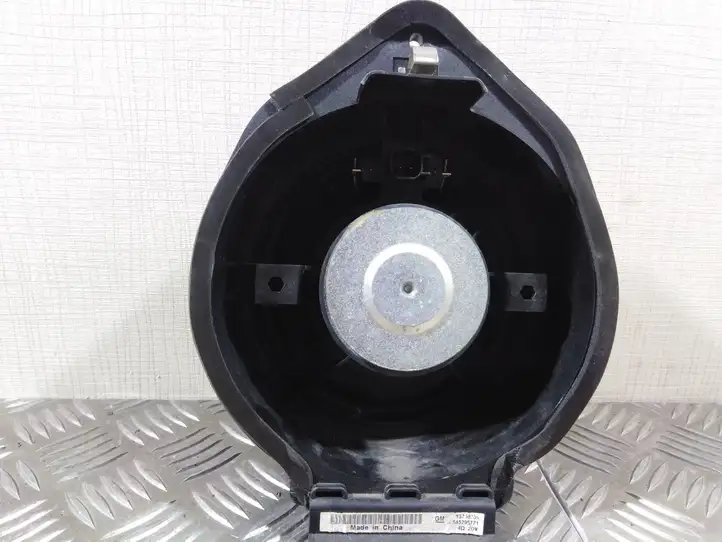 Opel Zafira B (2008 - 2014) Динамики передних дверей — фото 2