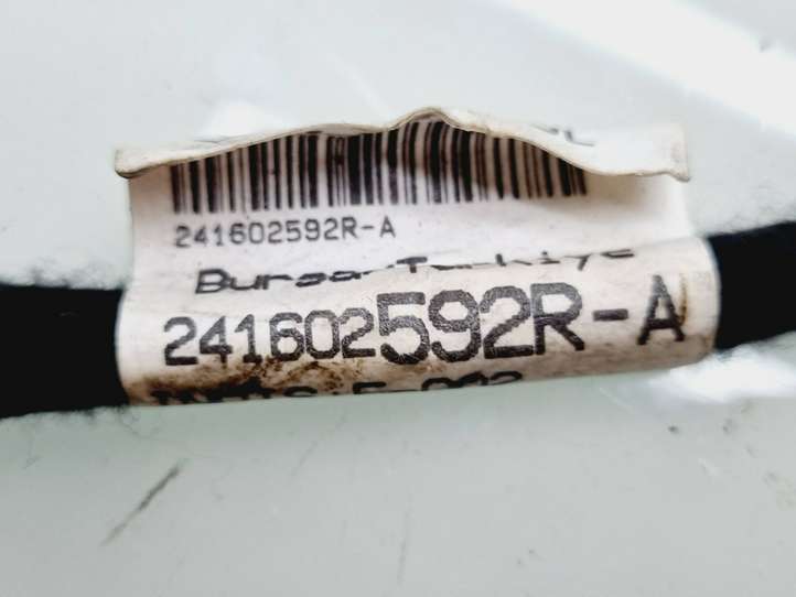 Renault Clio IV (2012 - 2019)  241602592R Другой проводник