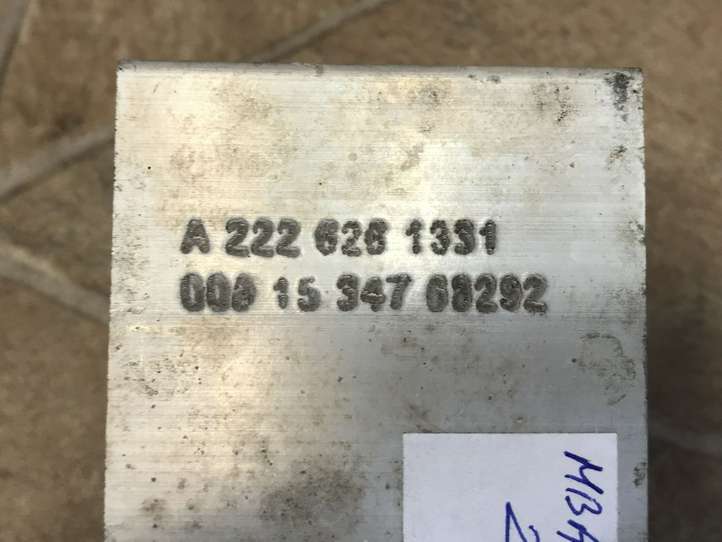 Mercedes-Benz S W222 (2013 - )  A2226261331 Держатель панели радиаторов (телевизора)