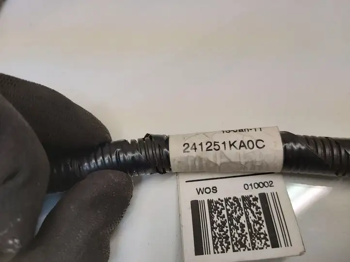 Nissan Juke I F15 (2010 - 2018) 241251KA0C Проводка передней двери — фото 4