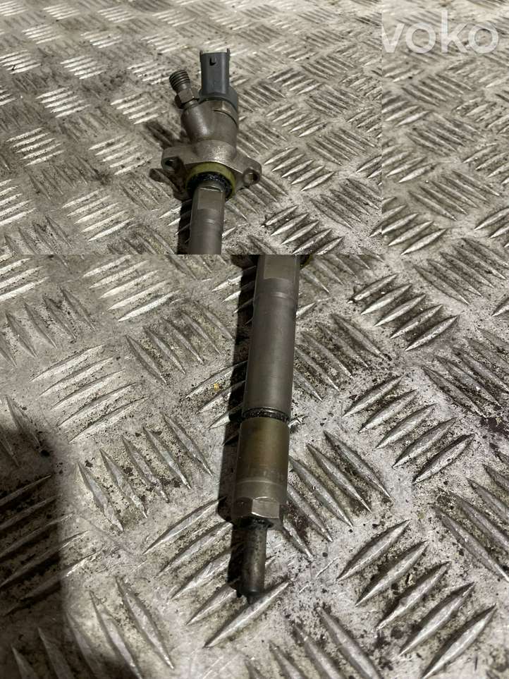 Ford Focus (1998 - 2004)  0445110239 Жиклер (жиклеры) (форсунка (форсунки)