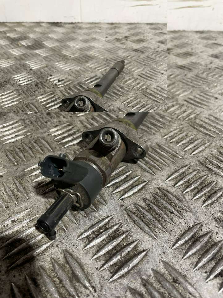 Ford Focus (1998 - 2004)  0445110239 Жиклер (жиклеры) (форсунка (форсунки)