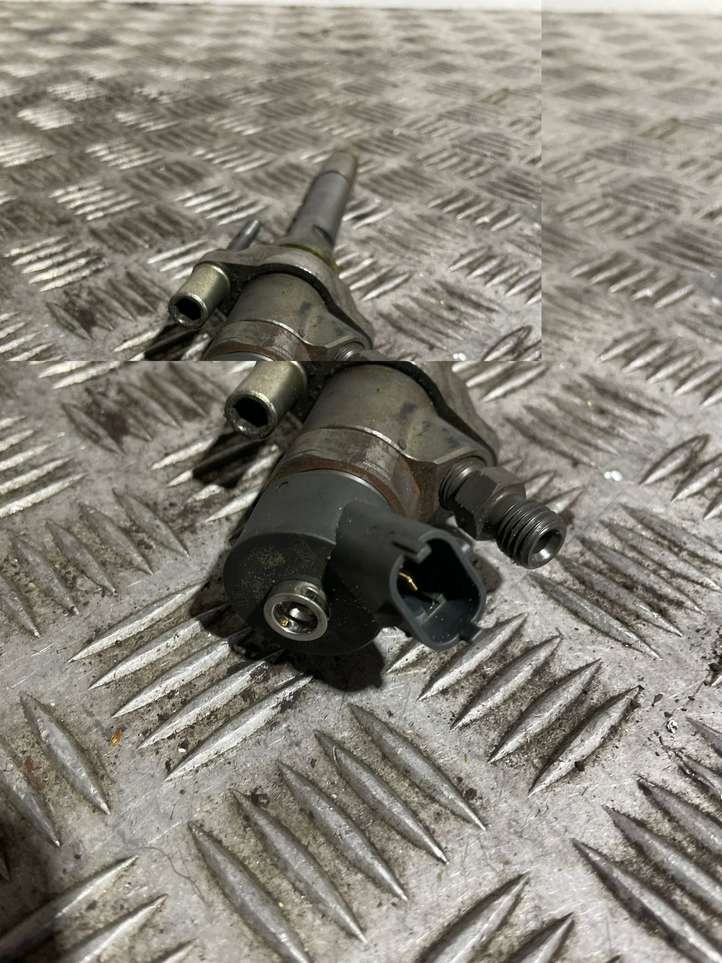 Ford Focus (1998 - 2004)  0445110239 Жиклер (жиклеры) (форсунка (форсунки)