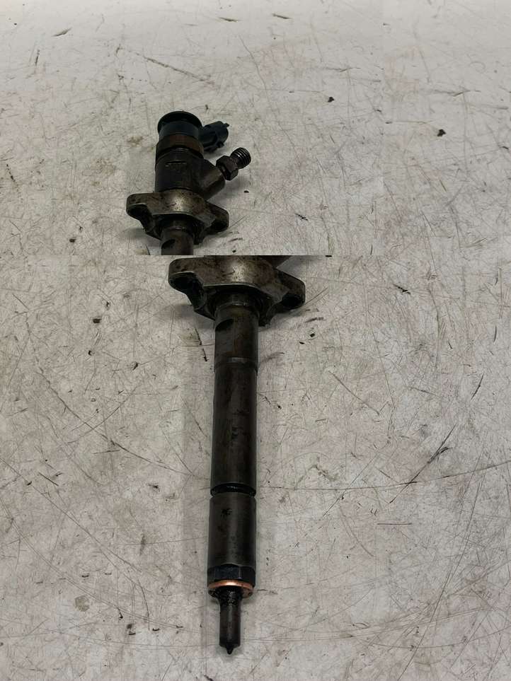 Peugeot Partner (2008 - 2012)  044511031 Жиклер (жиклеры) (форсунка (форсунки)