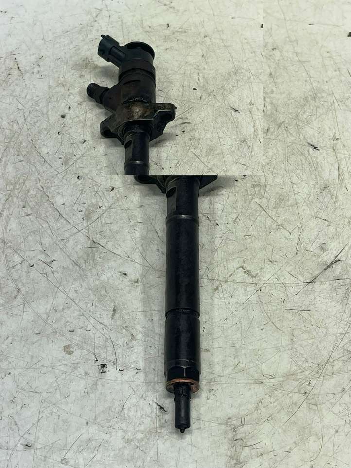 Peugeot Partner (2008 - 2012)  0445110317 Жиклер (жиклеры) (форсунка (форсунки)
