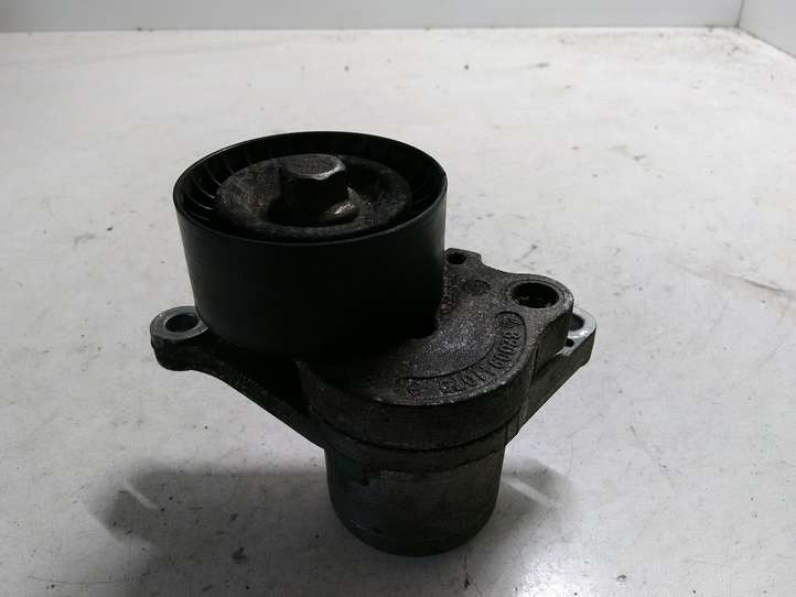 Renault Latitude (2010 - 2014)  8200941079 Устройство натяжки ремня
