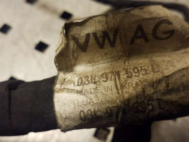 Volkswagen Tiguan (2007 - 2011)  03L971595L Проводка двигателя