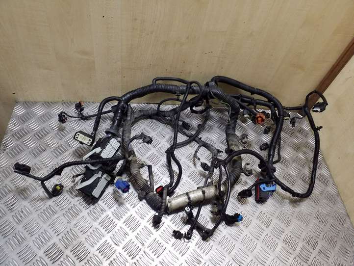 Ford Focus (2011 - 2015)  CV6T12A690UBH Проводка двигателя