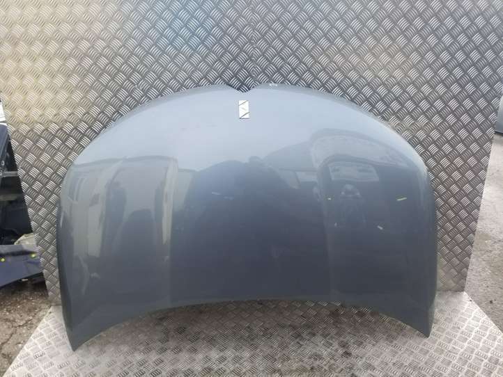 Citroen DS4 (2010 - 2016)   Капот