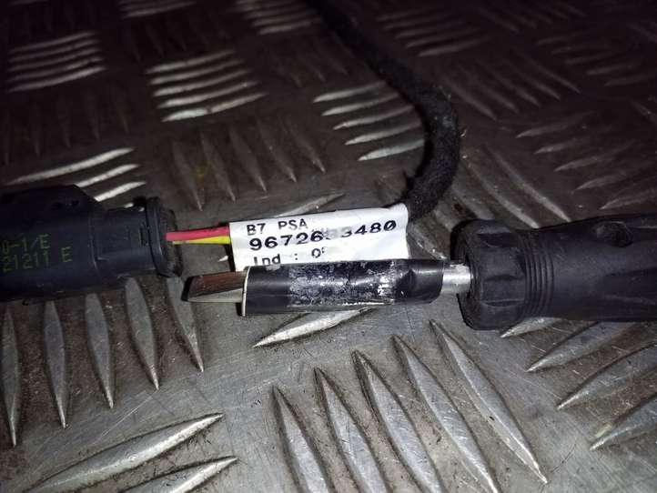 Citroen DS4 (2010 - 2016)  9672633480 Проводка крышки багажника