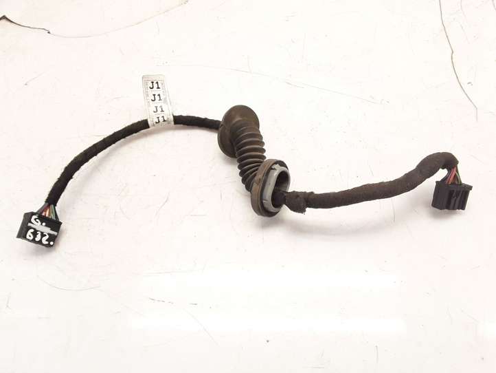 Chevrolet Captiva (2006 - 2011)  801J101 Проводка крышки багажника