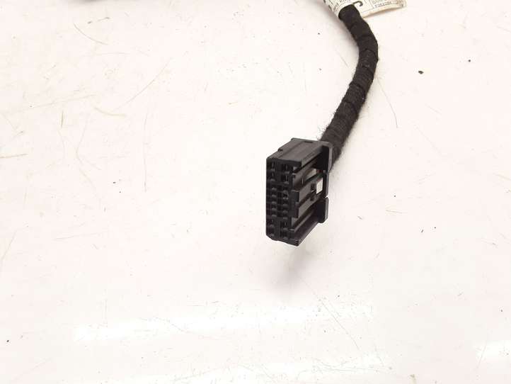 Chevrolet Captiva (2006 - 2011)  801J101 Проводка крышки багажника