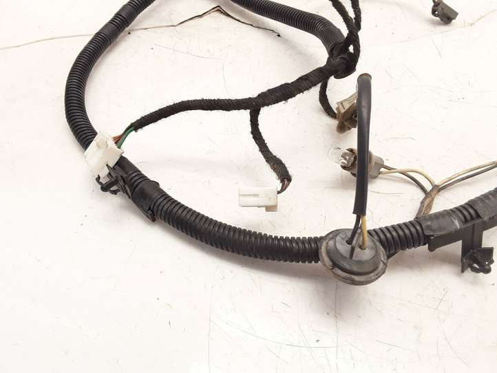 Chevrolet Captiva (2006 - 2011)  96673585 Проводка крышки багажника
