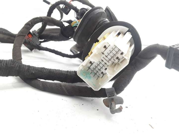 Chevrolet Captiva (2006 - 2011)  6F29DEY Проводка передних дверей