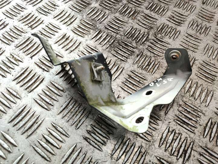 Renault Scenic II -  Grand scenic II (2006 - 2009)  102801G Держатель крыла